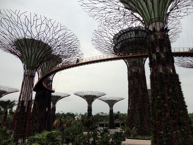 Gardens by the Bay Singapur 
