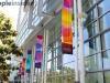 wwdc-2013
