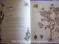 Foto-reseña: El Herbario de las Hadas, de Sebastien Perez.