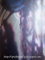 Foto-reseña: El Herbario de las Hadas, de Sebastien Perez.