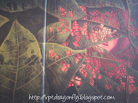 Foto-reseña: El Herbario de las Hadas, de Sebastien Perez.