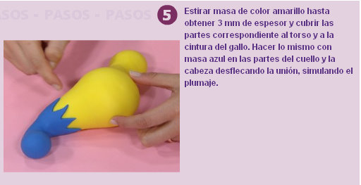 Gallo reloj de la web