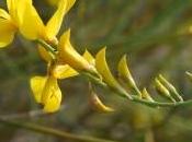 Feliz nuevo… instante!!!