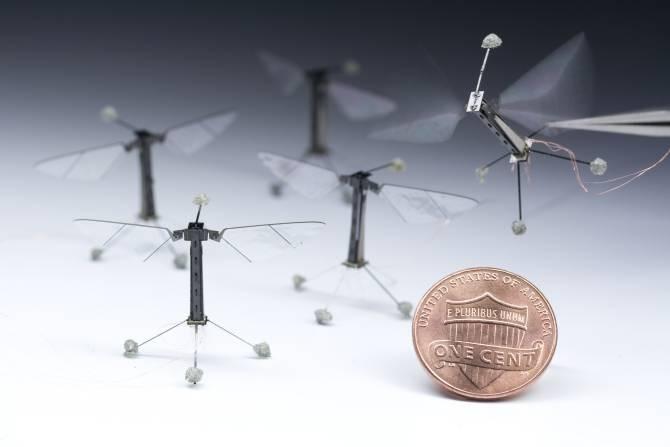 Robots insectoides voladores