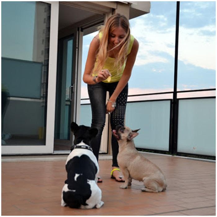 Top Ten Fashion Bloggers Houses photo theblondesalad_house_fashionblogger_estanochesoyunaprincesa_03_zps395963fc.jpg