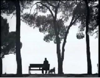 Cosas de la vida breve 5.