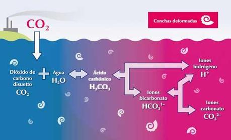 Introducción al equilibrio químico II