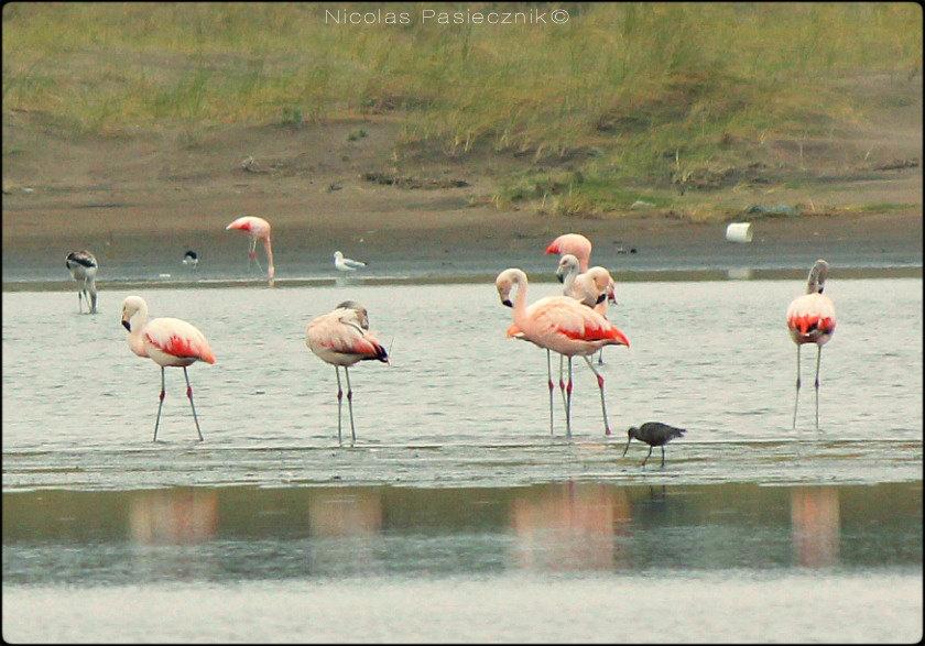 BT Monte Hermoso: la desembocadura del Rio Los Sauces