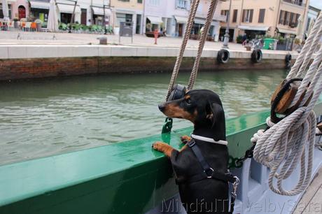 Viajar con perro a Cesenatico #cesenaticobellavita