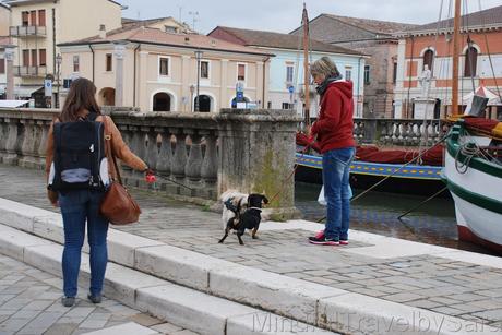 Viajar con perro a Cesenatico #cesenaticobellavita
