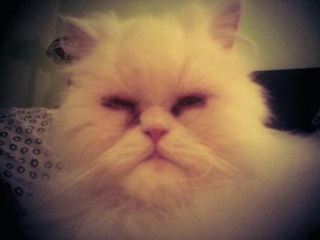 Androidografia Barakaldo 1360