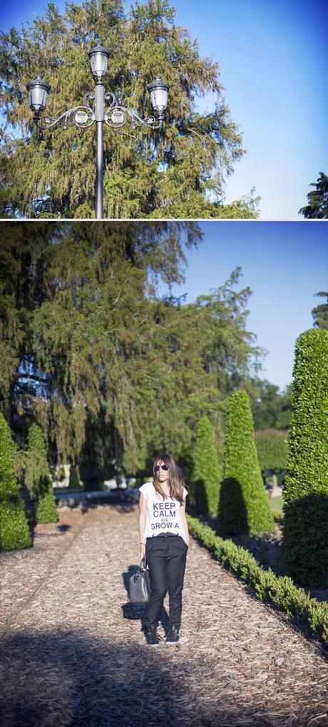 keep calm and grow a moustache ‿‿