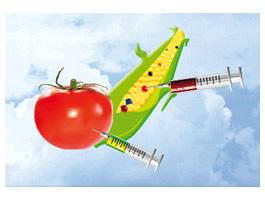 Semillas de muerte II