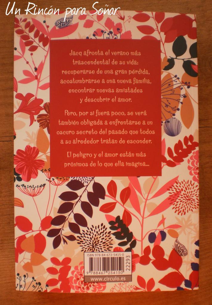 Nunca digas nunca de Amy Lab