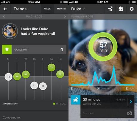 Whistle :: app para monitorear a tu mascota