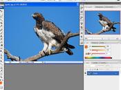 Mira como sería Photoshop vida real
