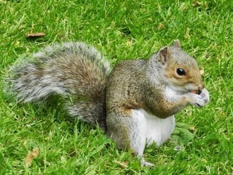 Espacios naturales de Edimburgo