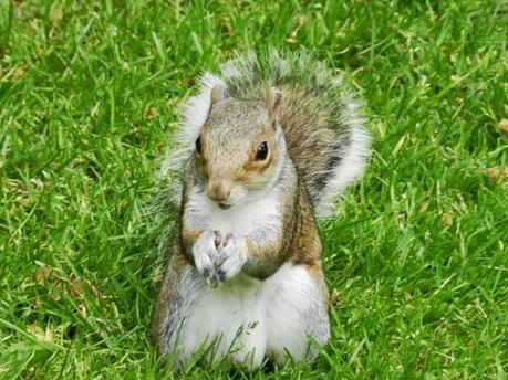 Espacios naturales de Edimburgo