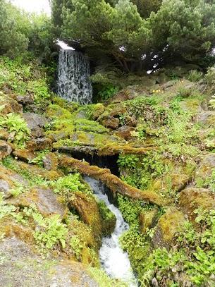 Espacios naturales de Edimburgo