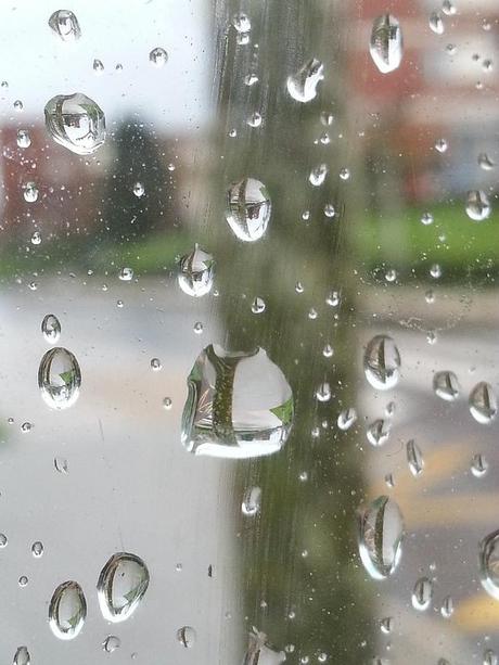 Androidografia Barakaldo 1361