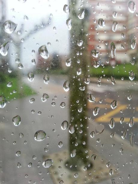 Androidografia Barakaldo 1362