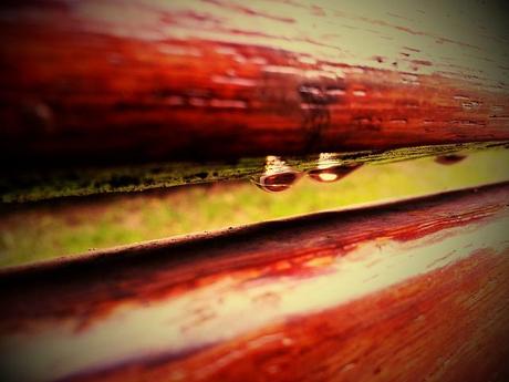 Androidografia Barakaldo 1363