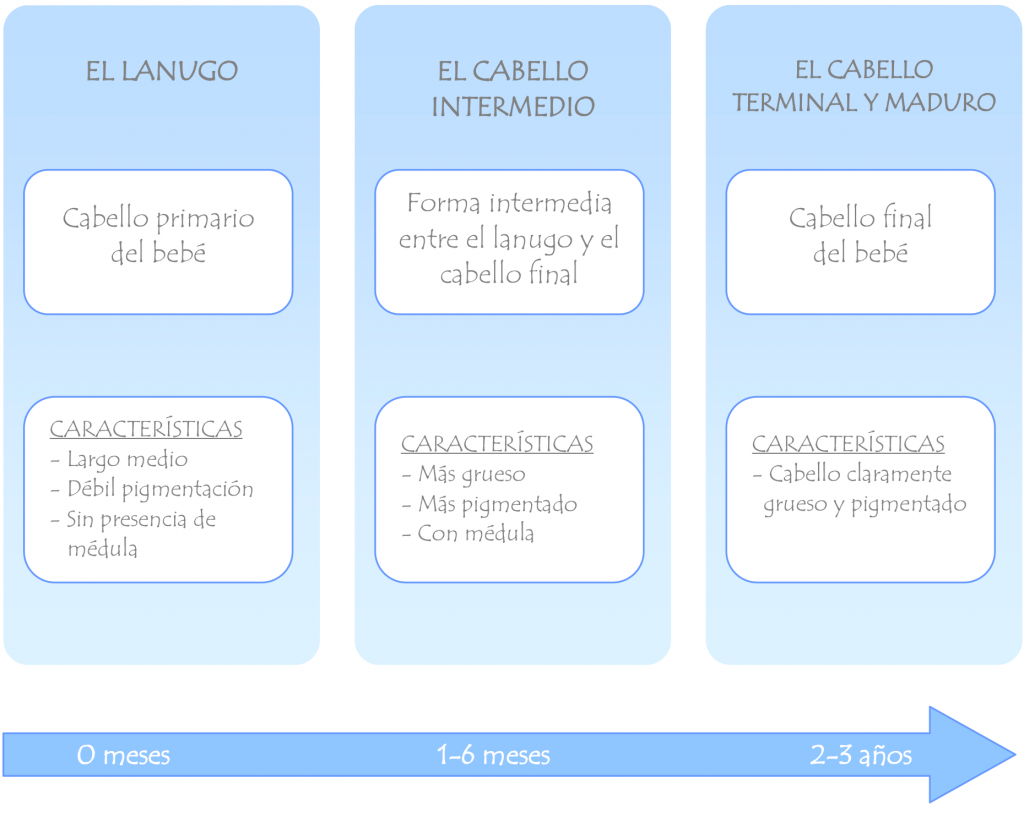 Cuadro explicativo de los diferentes tipo de piel de bebe