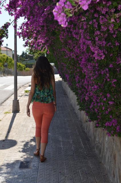 La honestidad, una gran virtud La honestidad, una gran virtud