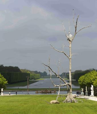 Extraños árboles en Versalles
