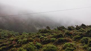 Trail en las fragas altas del Eume Trail en las fragas altas del Eume