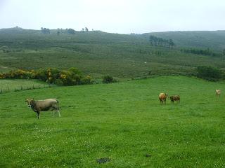 Trail en las fragas altas del Eume Trail en las fragas altas del Eume