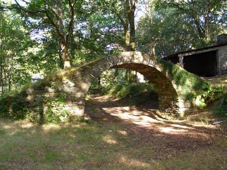 Trail en las fragas altas del Eume Trail en las fragas altas del Eume