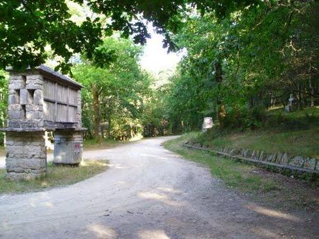 Trail en las fragas altas del Eume Trail en las fragas altas del Eume