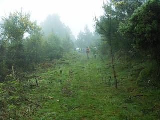 Trail en las fragas altas del Eume Trail en las fragas altas del Eume