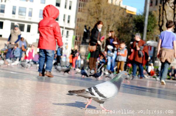 Plaza Cataluña