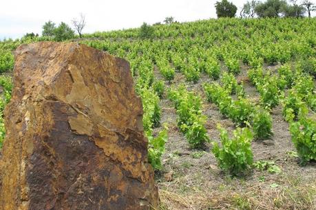 Planetes de Nin de Nin-Ortiz