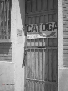 Abandonado en Valdefierro, Zaragoza, Polidas chamineras