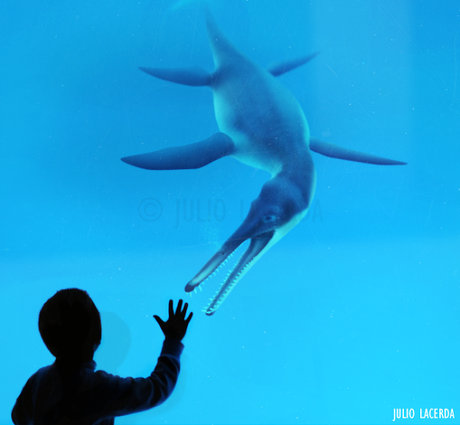 El Aquarium de Julio Lacerda