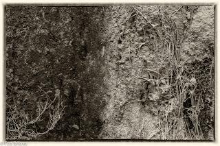 Por la cumbres de Zaorejas...