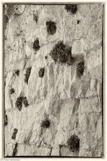 Por la cumbres de Zaorejas...