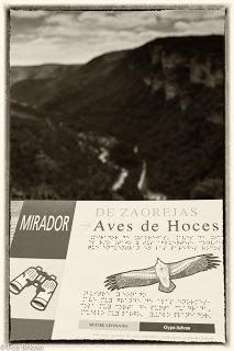 Por la cumbres de Zaorejas...