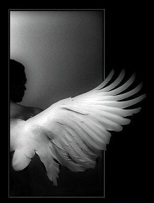 Naufragando por nuestros mares de China.