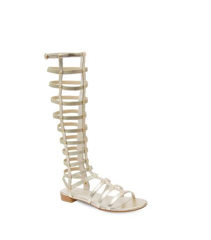 Gladiator a tus pies