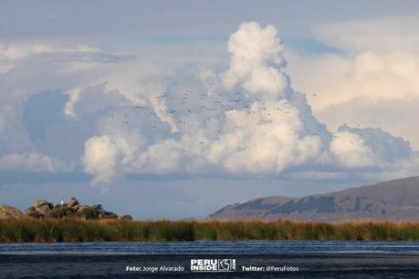 fotos-puno-12