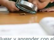 Jugar aprender Método Montessori (Lesley Britton)