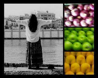 Las vidas del poeta II