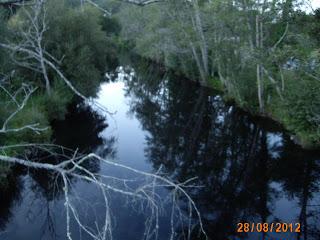 si viese todo esto Rosalía...diría NON QUERO MINAS DE ORO QUE CONTAMIÑAN MIÑA TERRA GALEGA!!!