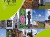 Feria Agropecuaria Turístico Comercial Agudo