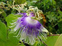 En Margarita encontraras de todo para disfrutar