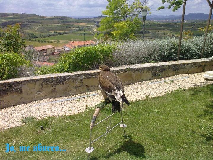 Jornadas medievales en Briones 15 y 16 de junio